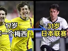 乐鱼体育-登兰德灾祸之鸦